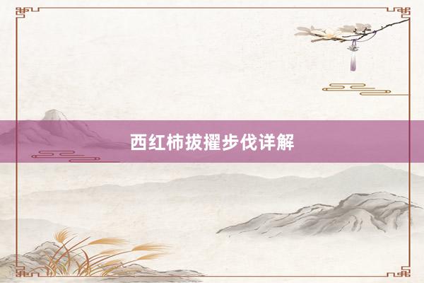 西红柿拔擢步伐详解