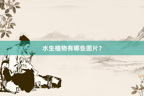 水生植物有哪些图片？