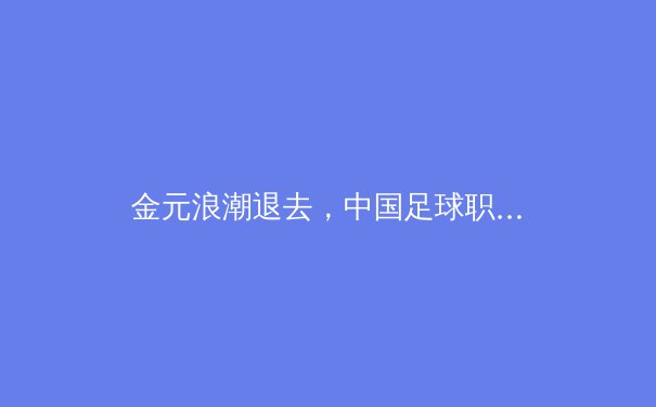 金元浪潮退去，中国足球职业联赛的阵痛与新生之路